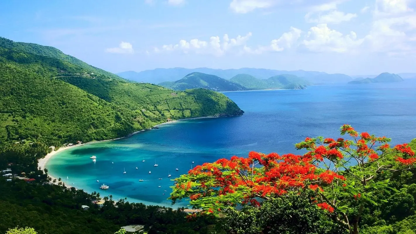 智能化高性能高端